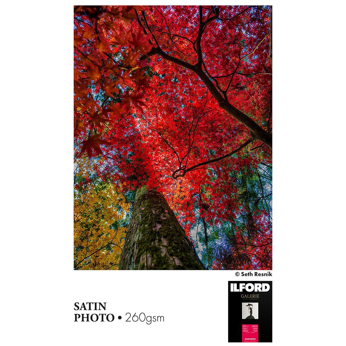 Ilford Galerie Satin Photo Paper, 260gsm, 5×7″, 100 Sheets