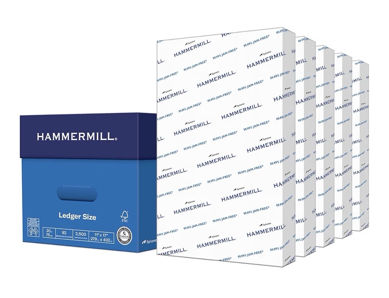 Printer Paper, Ledger size 11 x 17 (Aprox 2,500 Sheets)
