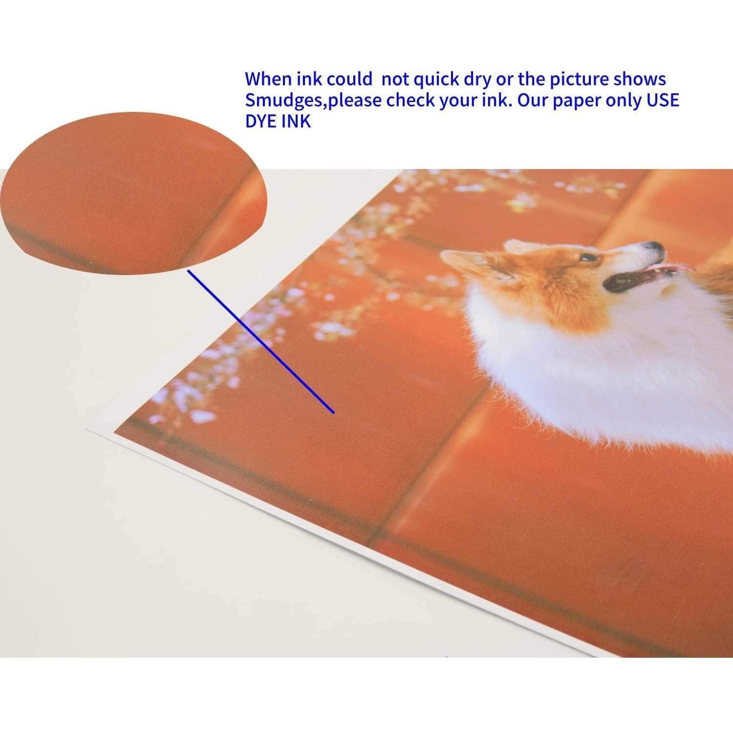 Koala Thin Double Sided Glossy Photo Paper 120 GSM 8.5×11 Inch 100 Sheets