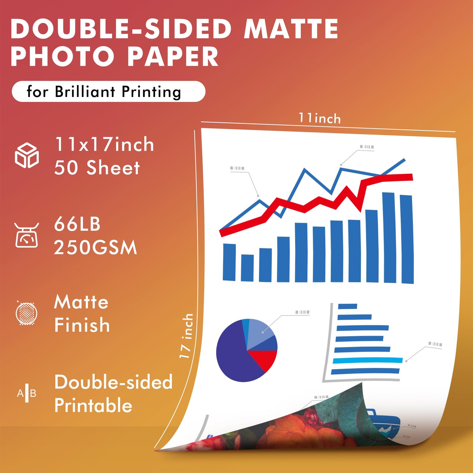 50 PCS Koala Double Sided Matte Photo Paper 11×17 Inch 250gsm Inkjet