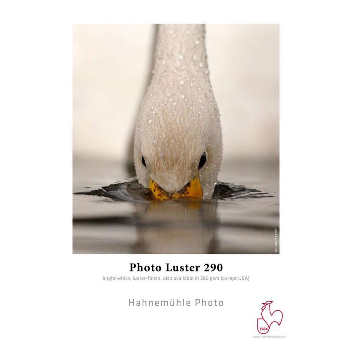 Hahnemuhle Photo Luster 290 Inkjet Paper, 17×22″, 25 Sheets