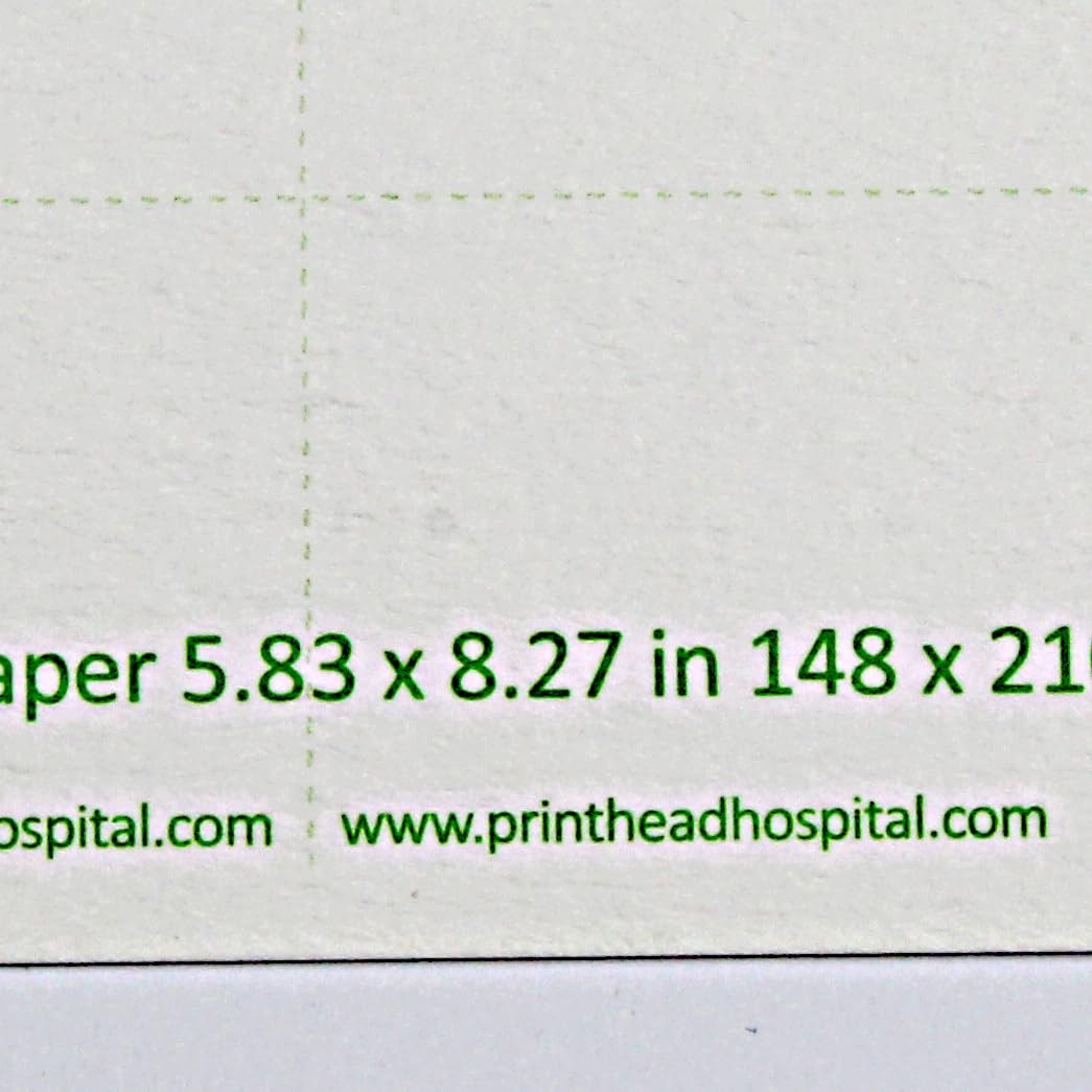 Heavyweight Blotting Paper 8×6 Absorbent Sheets for Flower Press Calligraphy