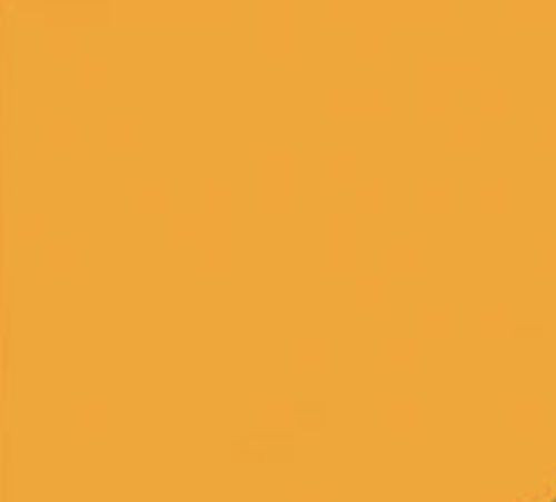 50 BRIGHT ORANGE 24 LB PRINTER PAPER INVITATION SCHOOL PROJECT POSTER HALLOWEEN