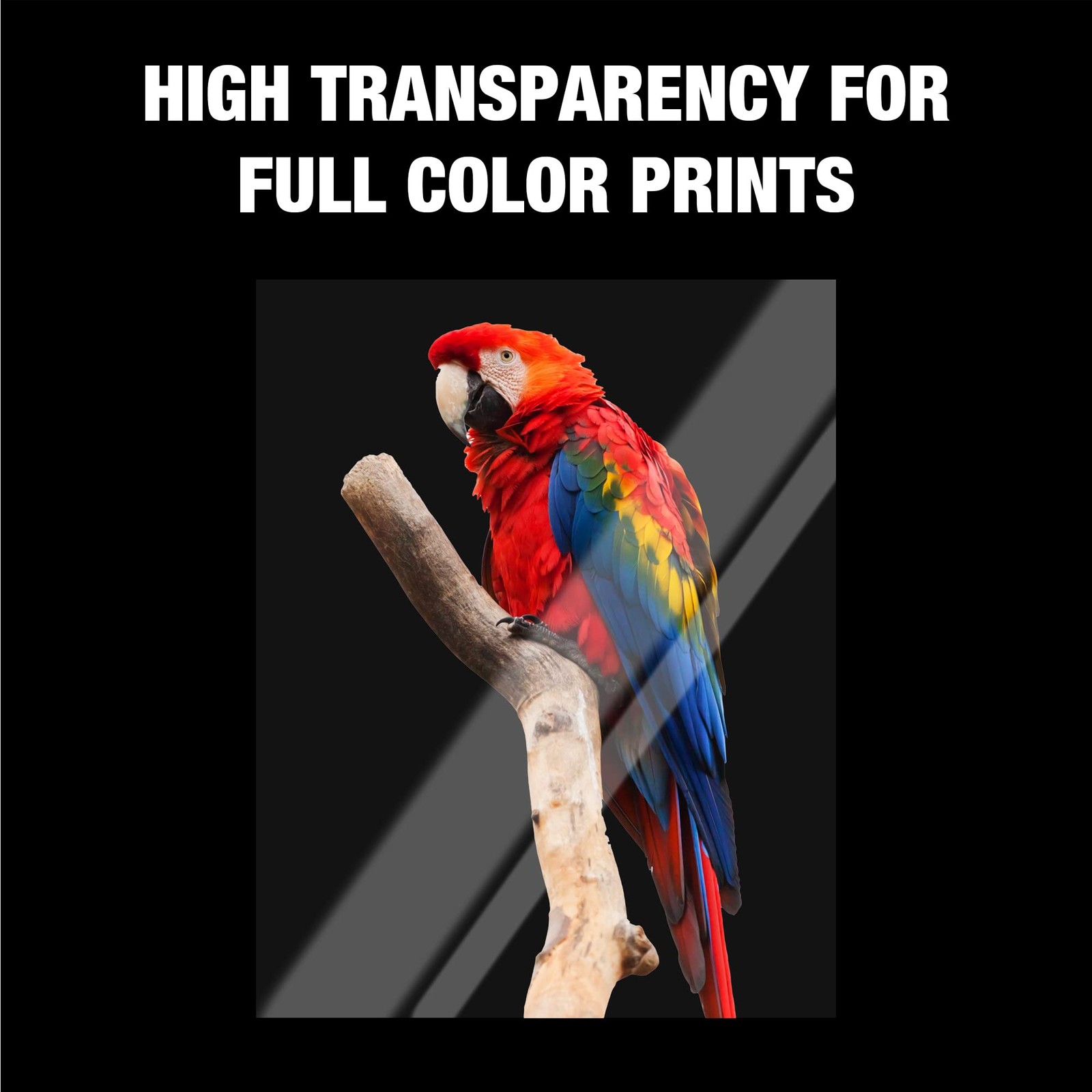 100 PCS 8.5×11 Inch Clear Transparency Film For Laser Jet Printer Black Image