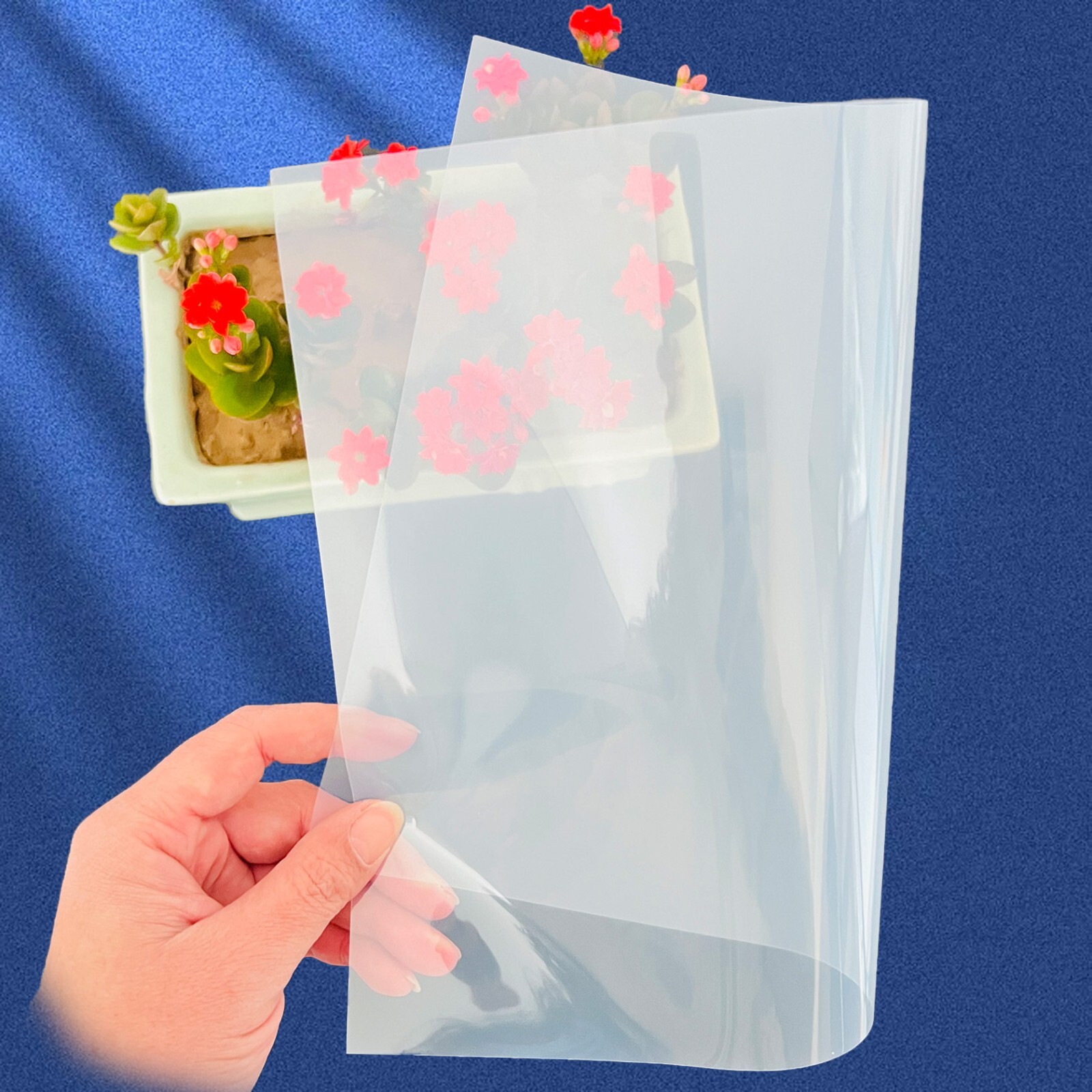 13″ x 19″ – 100 sheets，Digital Negative Inkjet Film for Contact Printing