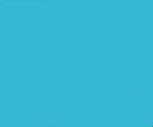 50 BRIGHT BLUE 24 LB PRINTER PAPER INVITATION SCHOOL PROJECT POSTER FLYER