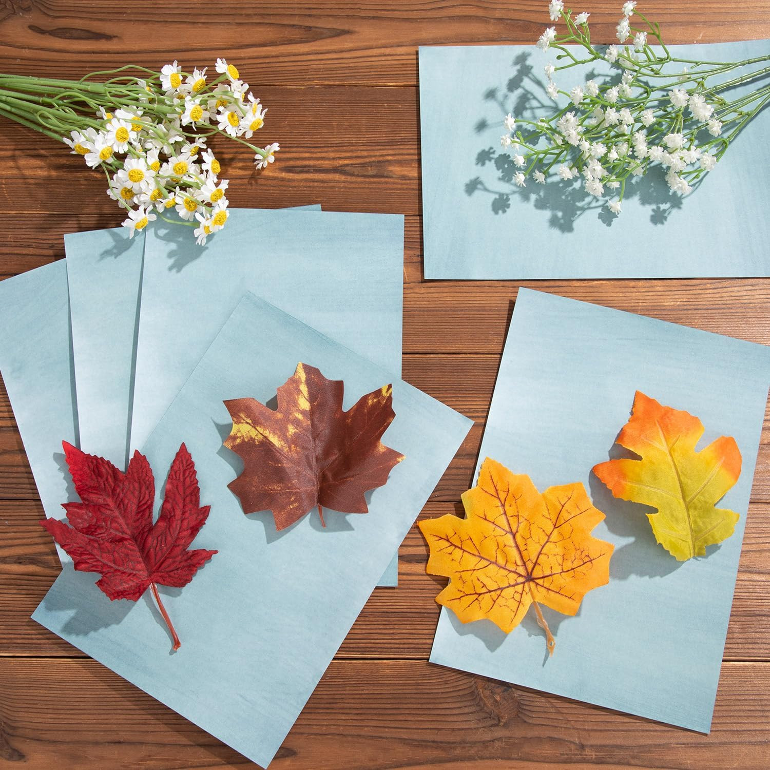 10 Pcs Sun Print Paper Kit Cyanotype Paper, A5 Cyanotype Paper with 1 Sheet Acry