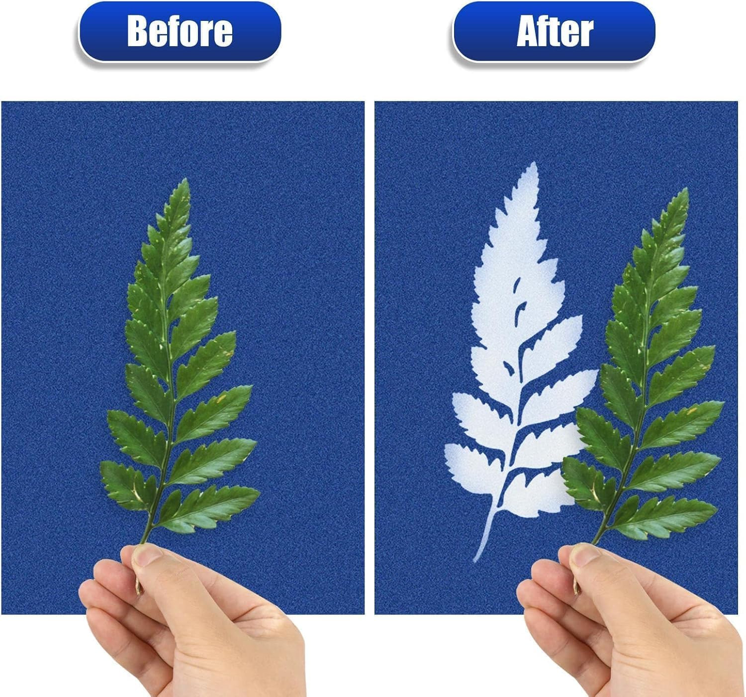20 PCS Cyanotype Sun Print Kit, A5 Sensitive Solar Art Paper Kit with 20 Pcs Lea