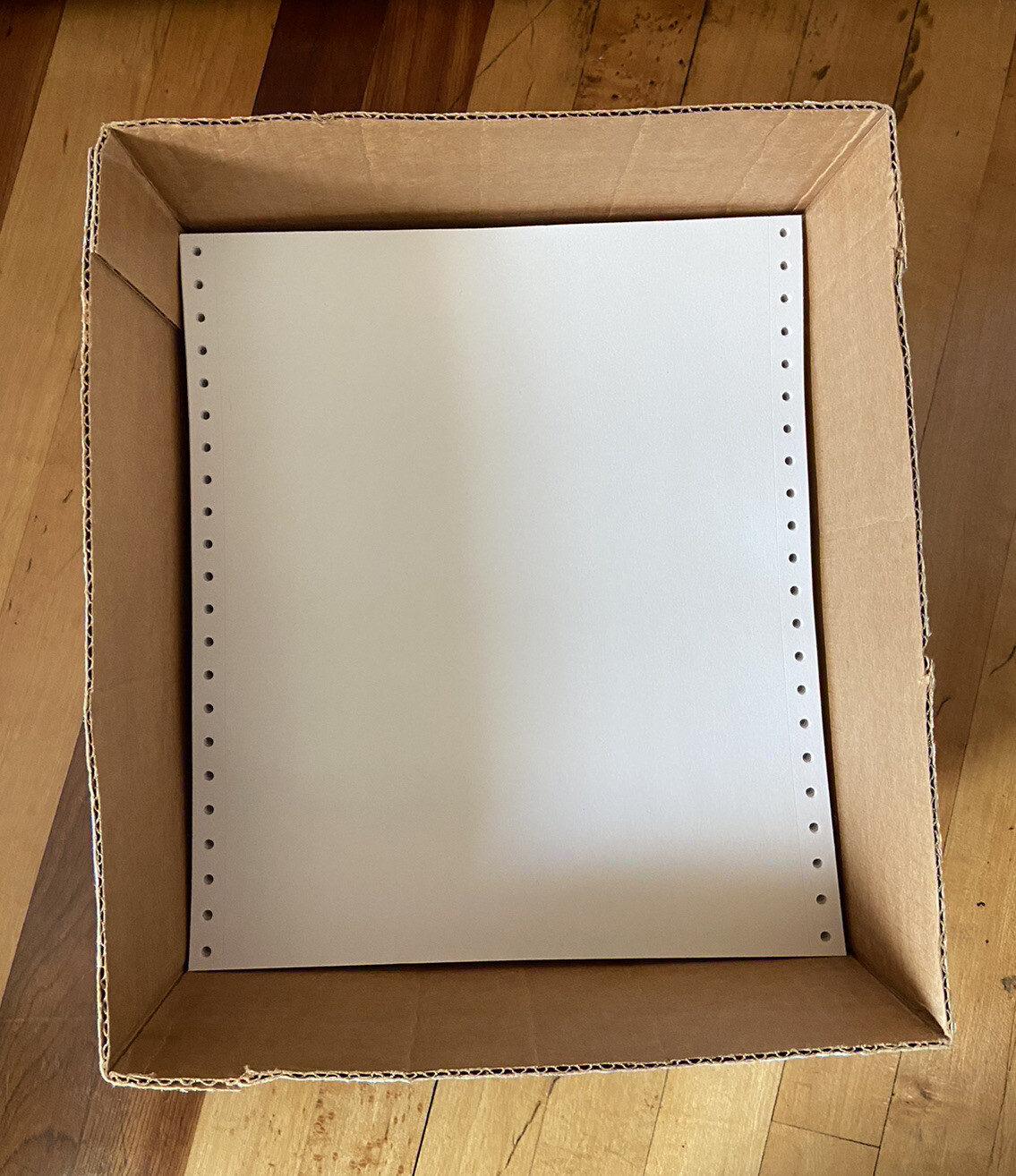 Vintage Shade Computer Paper Dot Matrix Continuous