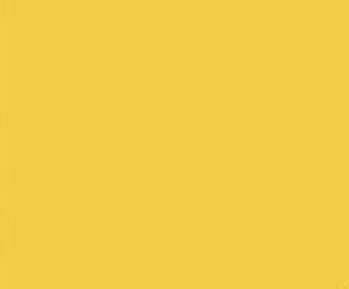 50 BRIGHT GOLD 24 LB PRINTER PAPER INVITATION SCHOOL PROJECT POSTER FLYER